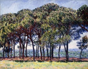 Pines, Cap d"Antibes, 1888 od Claude Monet