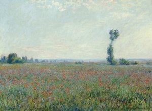 Makové pole, 1881 od Claude Monet