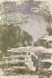 Studie pro lekníny, 1907 od Claude Monet