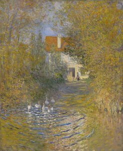 Husy, 1874