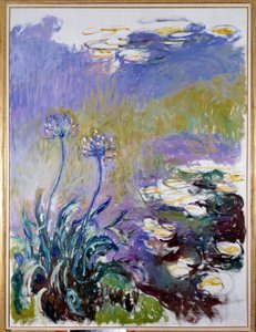 Agapanthus od Claude Monet