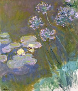 Lekníny a Agapanthus od Claude Monet