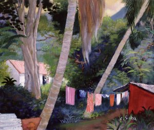Sušení Mytí, Guadeloupe