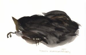 Spící kočka, 1985 (akvarel) od Claudia Hutchins Puechavy