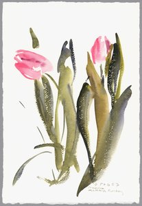 Tulipány, 2003 (akvarel) od Claudia Hutchins Puechavy