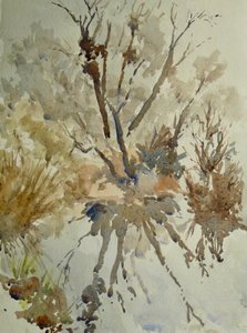 Skopová kýta, Eton, 2010 (akvarel)