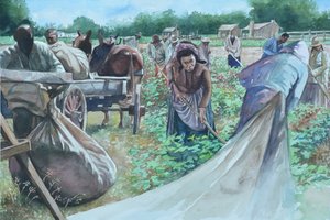 Backbreaking, 2010 od Colin Bootman