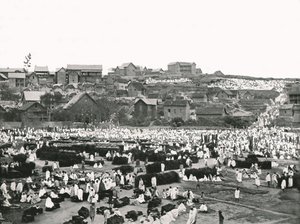 The Market Place, Antananarivo, Madagaskar, 1895. od Colonel Stewart