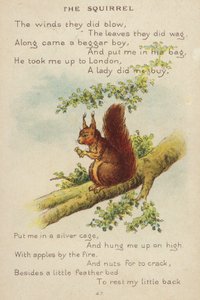 Říkanka: The Squirrel (chromolitho)