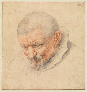 Hlava starého muže od Cornelis Dusart