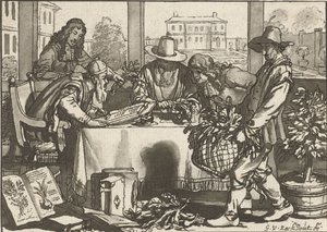 botanik od Cornelis Ploos van Amstel (signed by artist)