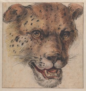  od Cornelis Saftleven