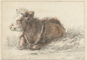 Ležící tele, vlevo od Cornelis Saftleven