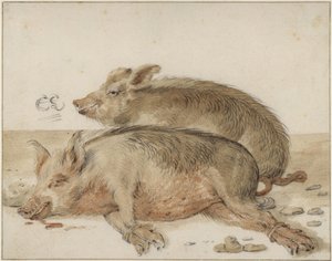 od Cornelis Saftleven