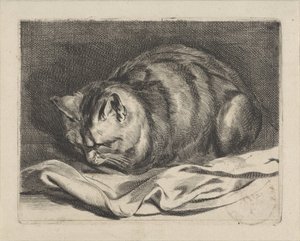 malá kočka od Cornelis Visscher (II)