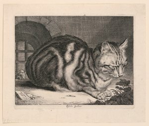 Velká kočka od Cornelis Visscher