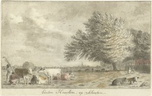 Krávy na louce mimo Haarlem, na Schooten (název na objektu) od Cornelis van Noorde
