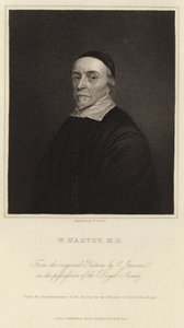 William Harvey od Cornelius Janssen van Ceulen