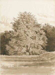 Wrottesley Hall - The Shrubbery: Sépiová kresba, 1820 od Cornelius Varley