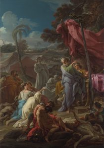 Drzý had, 1744