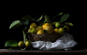 Venkovský košík na citrony od Corrado La Licata