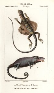 Common flying dragon and two-horned chameleon   1412020   cs       czech Successfully Translated  Original: Arashi Rikan als Miyamoto Musashi Translat: Arashi Rikan als Miyamoto Musashi 1381609 cs czech Successfully Translated Original: Jonge man met hoed  od Corsi Corsi