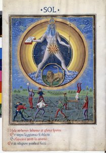 Slunce se znamením zvěrokruhu lva. Dole jsou scény mužských fyzických cvičení. Miniatura od Cristofora de Predis (v. 1440-v. 1486) - v „“ De Sphaera“““ d