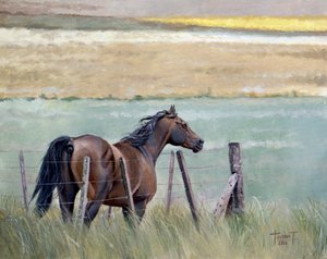 Dreams of Freedom, 2010 (olej na plátně)
