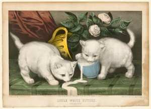 Malé bílé kočičky do neplechu od Currier and Ives