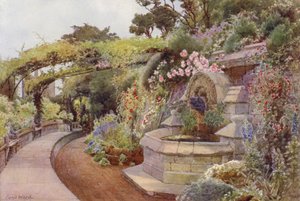 Čas růží, Terasa s fontánou, Norman Tower Garden (barevné lito)