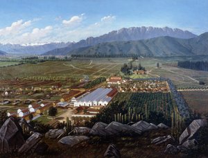Vineyard of Errazuriz-Panquehue, Chile, 1896 od Daniel Escobar