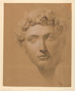 Kresba, Mužská hlava ze sádry, 1840 od Daniel Huntington
