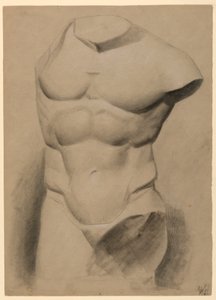 Kresba, mužské torzo ze sádry, 1840 od Daniel Huntington