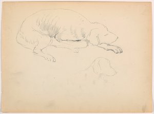 Kresba, Milo (pointer), dvě studie, asi 1862 od Daniel Huntington