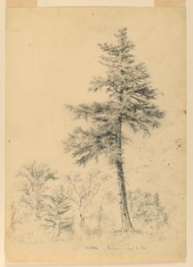 Studie Hemlock, Gorham, New Hampshire od Daniel Huntington