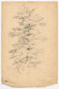 Studie Hemlock poblíž White Lake od Daniel Huntington