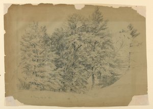 Studie stromů, North Conway, New Hampshire od Daniel Huntington