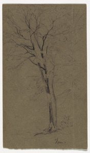 Studie jilmu od Daniel Huntington