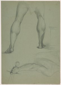 Dvě dílčí anatomické studie od Daniel Huntington