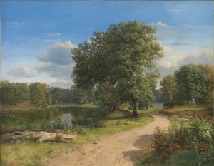 Krajina poblíž Hammermøllen, Severní Zéland