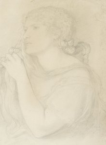 Studie Fanny Cornforth, 1863 od Dante Gabriel Charles Rossetti