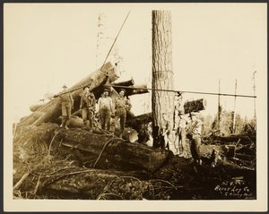 [Logger]