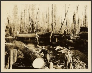 [Logger]