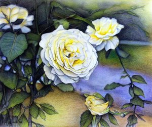 Alberta Roses In Bloom, 2018 (tužka na papíře)