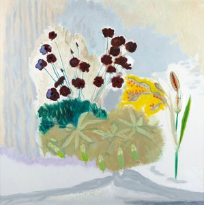 Seedpods and Cosmos, 2010 (olej na plátně) od David Alan Redpath Michie