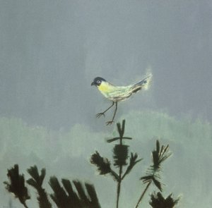 Strange Bird přistání od David Alan Redpath Michie