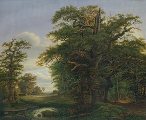 Dubové dřevo, 1847 od David Christopher Mettlerkamp