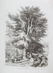 Buk č.p. 18, ilustrace z Progressive Lessons on Landscape for Young Beginners, 1816 (měkký lept) od David Cox