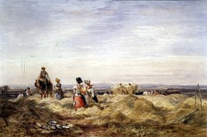 V Hayfield (akvarel) od David Cox