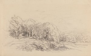Krajina se stromy od David Cox